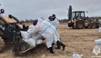 Новые выбросы мазута зафиксировали на побережье Черного моря