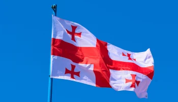 &laquo;Не смог стерпеть&raquo;: появились кадры массовой драки депутатов в парламенте Грузии