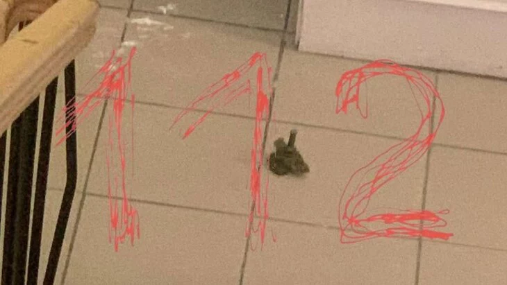 Шестиклассник активировал страйкбольную гранату в школе в Петербурге Шестиклассник активировал страйкбольную гранату в школе в Петербурге