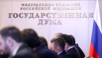 Госдума приняла в I чтении закон о пропаганде чайлдфри