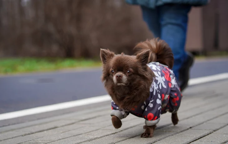 Метеоролог Позднякова рассказала, какой будет погода в Москве в начале апреля Метеоролог Позднякова рассказала, какой будет погода в Москве в начале апреля