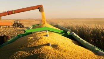 Захарова назвала запрет Литвы на импорт сельхозпродукции из РФ "выстрелом себе в ногу"