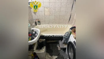 Убившей ребенка женщине предъявлено обвинение в Москве