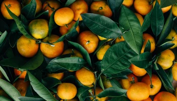 Россиян предупредили о повышении цен на мандарины