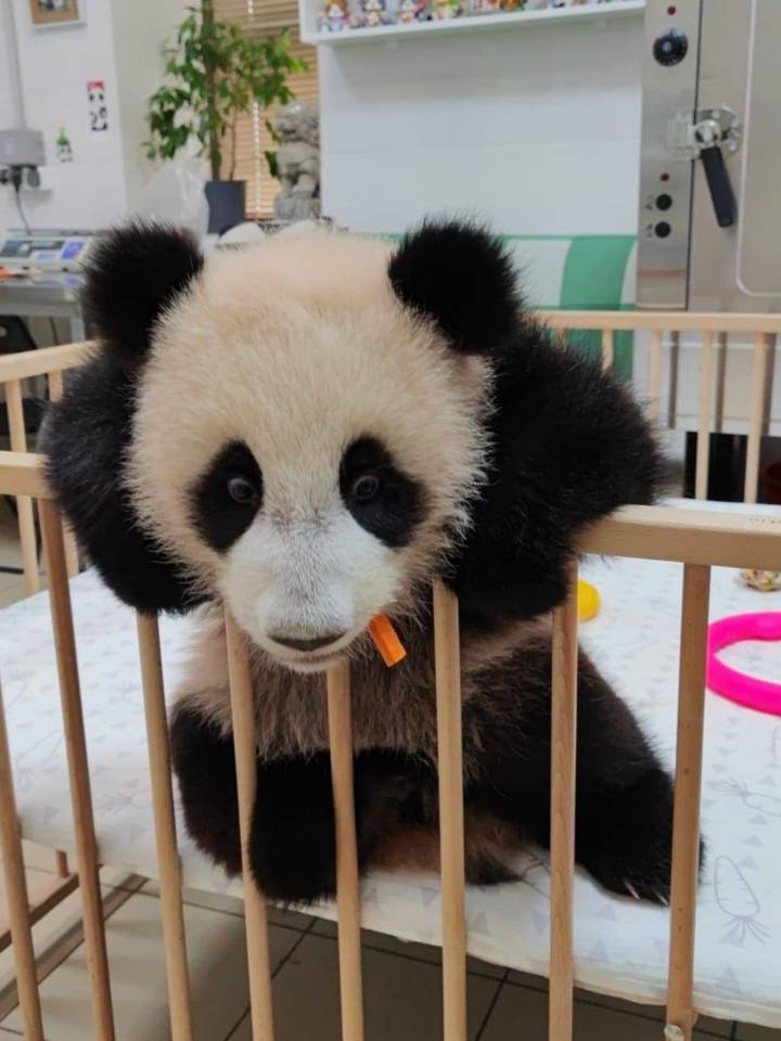 Фото: Telegram / Светлана Акулова