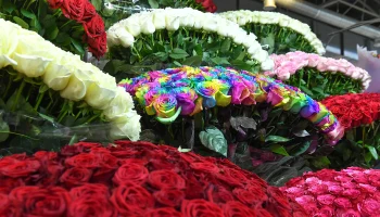 Московский курьер получил рекордные чаевые за доставку 1500 роз