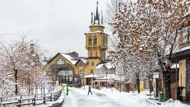 Московский зоопарк подготовил праздничную программу для посетителей в честь юбилея