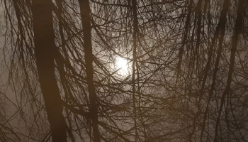 Синоптики спрогнозировали до плюс 6 градусов в Москве 13 марта