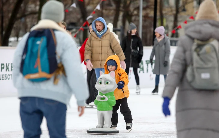 Приложение «Мой id» поможет многодетным семьям бесплатно посетить катки в Москве