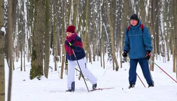 Почти 120 катков и лыжные трассы открылись на западе Москвы