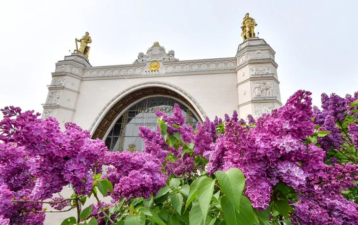 Синоптики рассказали, какая погода ждет москвичей на этой неделе Синоптики рассказали, какая погода ждет москвичей на этой неделе