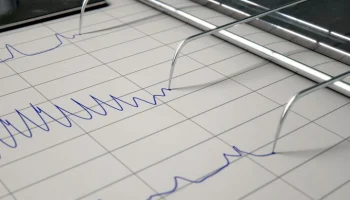 Землетрясение магнитудой 5,8 произошло на Камчатке