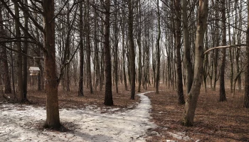 Синоптик Ильин предупредил о похолодании в столичном регионе на 8 Марта