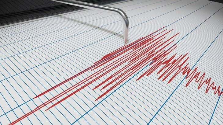 Два землетрясения магнитудой до 4,8 произошли на востоке Камчатки