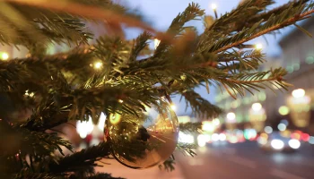 Елки посвятили производствам