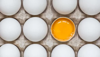 Экономист Остапкович рассказал, когда в России стабилизируются цены на яйца