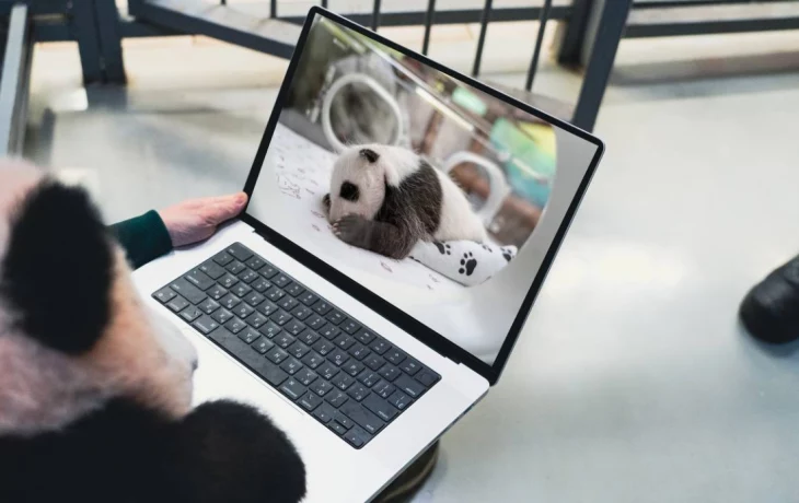 «Современный ребенок»: панде Катюше показали ее детские фото на ноутбуке «Современный ребенок»: панде Катюше показали ее детские фото на ноутбуке