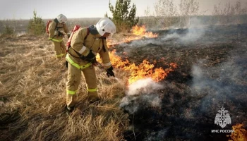 Глава ЛНР Пасечник: характер пожаров в ЛНР свидетельствует об умышленных поджогах