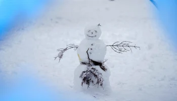 Синоптик Макарова: Снежный покров в Москве вырастет на 15-20 сантиметров