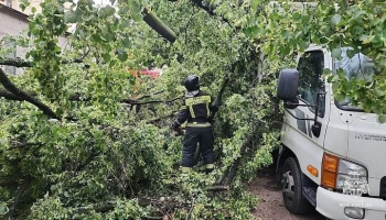 Три человека погибли во время урагана в Петербурге и Ленинградской области