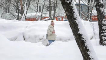 Календарная зима в Москве завершится дождем и плюсовой температурой