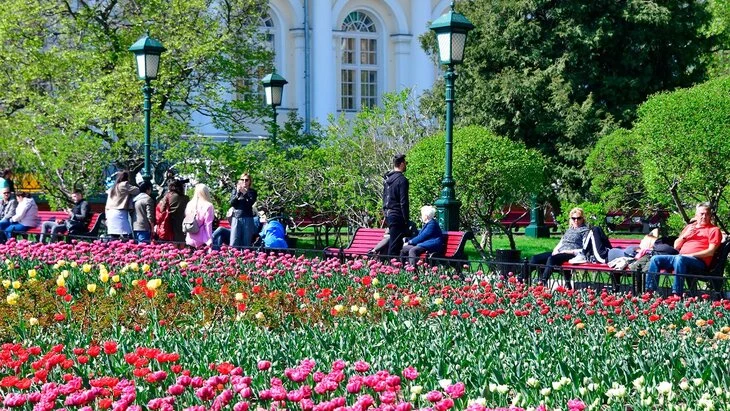 Кремль и Александровский сад украсили цветами к майским праздникам