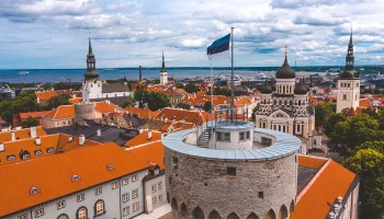 Советник Ролл: Эстония рассматривает возможность отправки войск на запад Украины