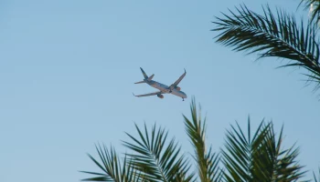 Росавиация: Авиакомпании РФ выполнили практически все задержанные рейсы из Дубая