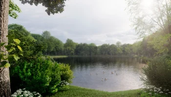 Стартовала реабилитация Новоясеневского пруда на юго-западе Москвы