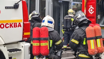 Четыре человека погибли при пожаре в тепличном комплексе в Подмосковье