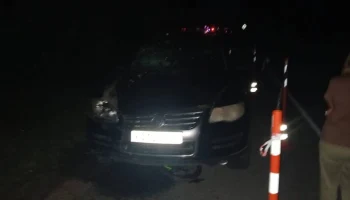 Двое велосипедистов погибли в ДТП в Новгородской области