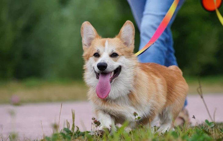 Синоптик Тишковец пообещал июньское тепло в Москве на предстоящей неделе Синоптик Тишковец пообещал июньское тепло в Москве на предстоящей неделе