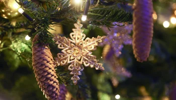 Синоптик Тишковец: Москвичи встретят Новый год с морозом и со снегом Синоптик Тишковец: Москвичи встретят Новый год с морозом и со снегом