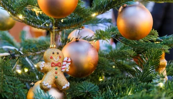 Юрист Прокофьева предупредила россиян о штрафах за шум в новогоднюю ночь