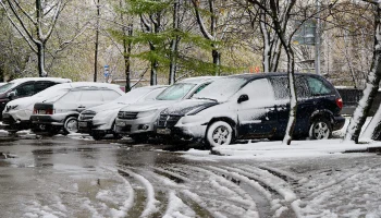Синоптик Тишковец: Снежный покров в Москве растает 1 мая