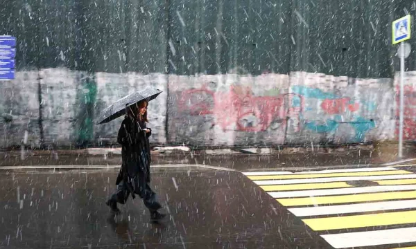 Синоптик Вильфанд: Первый снег в Москве выпадет в эти выходные Синоптик Вильфанд: Первый снег в Москве выпадет в эти выходные