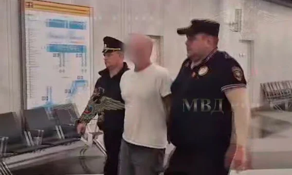 Шизофрения диагностирована у бросившего ребенка об пол в Шереметьево