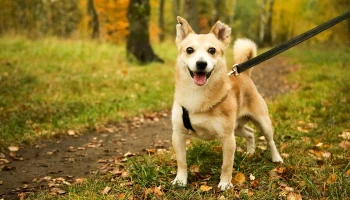 Синоптик Шувалов рассказал о возвращении солнечной погоды в Московский регион