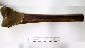 Таможенники обнаружили в посылке флейту из человеческой кости