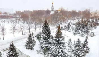 Собянин: Более 25 тысяч вечнозеленых растений высадили в Москве в 2025 году