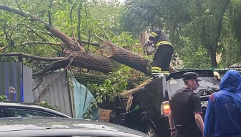 Городские службы ликвидируют последствия непогоды в Москве