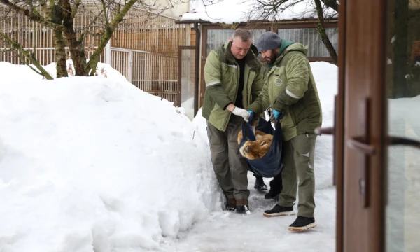 Сотрудники прокуратуры изъяли диких животных у жителя Новой Москвы Сотрудники прокуратуры изъяли диких животных у жителя Новой Москвы