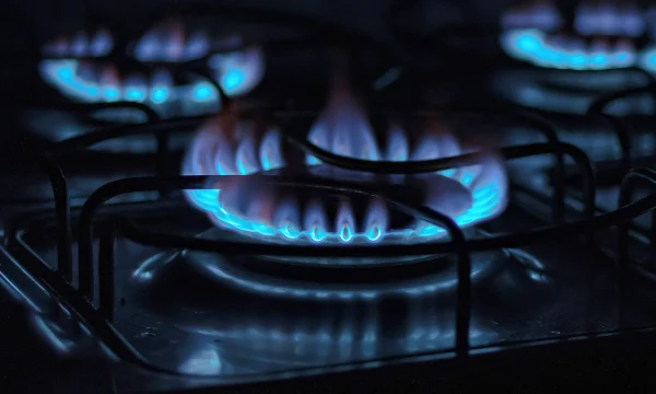 Около 1,3 миллиона газовых плит проверили в Москве с начала года Около 1,3 миллиона газовых плит проверили в Москве с начала года