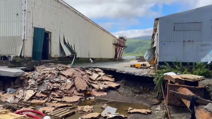 Цунами вымыло тонны лосося и гребешка с рыбзавода в Северо-Курильске Цунами вымыло тонны лосося и гребешка с рыбзавода в Северо-Курильске