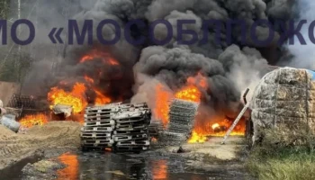 Пожар произошел на территории асфальтного завода в деревне Починки под Ногинском