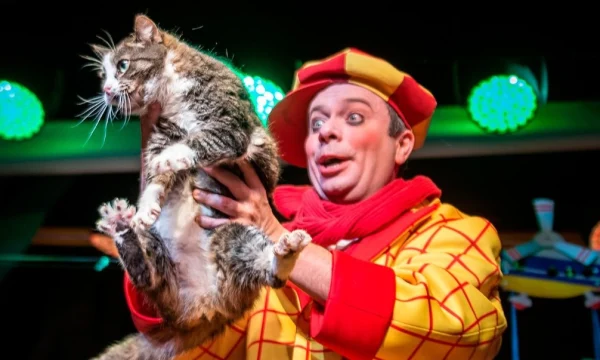 Спасенная из зоны СВО кошка Глуша впервые вышла на сцену Театра Куклачева