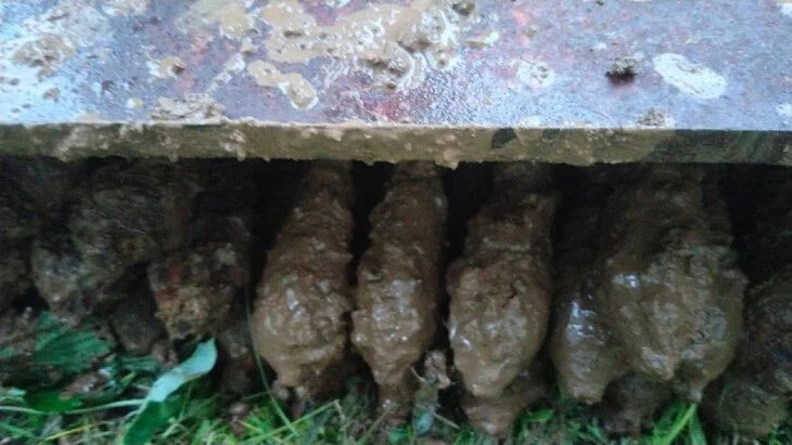 Спасатели обезвредили 33 мины времен Великой Отечественной войны под Можайском Спасатели обезвредили 33 мины времен Великой Отечественной войны под Можайском