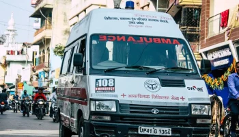 Times of India: неизвестный хищник растерзал 60-летнюю женщину в Индии