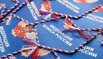 Федерация бокса России сделала заявление после избиения Дмитрия Двали