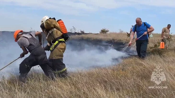 Открытое горение в садовом товариществе "Дружба" в Крыму ликвидировано Открытое горение в садовом товариществе "Дружба" в Крыму ликвидировано